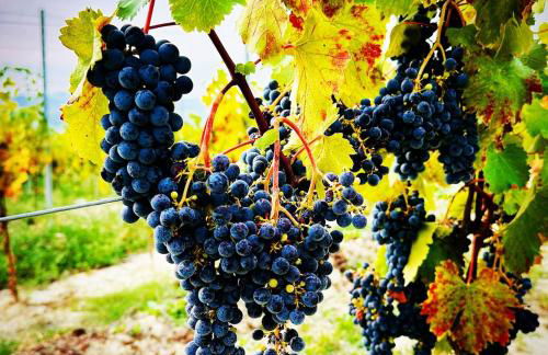 Casa La Bella Vita - Foto 23