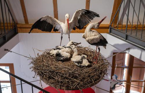 Ferienhaus Storchenblick - Foto 35