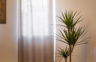 Fonte da Rosa Guest House APT2 - Foto 6