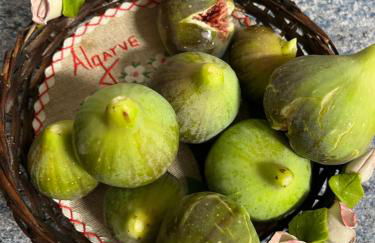 Rosas no Lagar - Foto 17