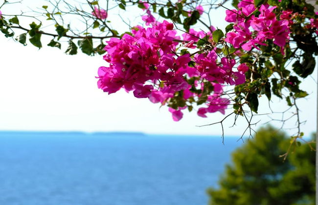 Stavento Apartments - Foto 34