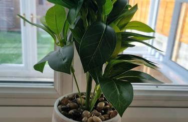 Charming 3Bed House in Strood - Foto 29