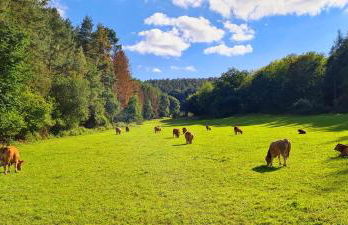 Eifelhof mit Obstbaumwiese - Foto 32