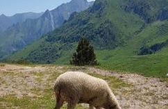 L' Aubisque - Foto 17