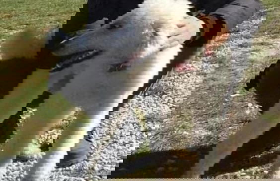 Apartment Red House - Foto 21