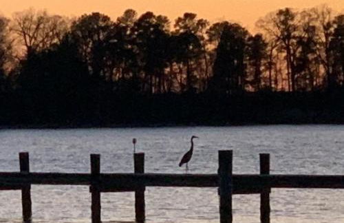 Miles Rest - Foto 63