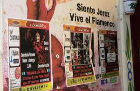 Bienvenidos a San Miguel - Foto 58