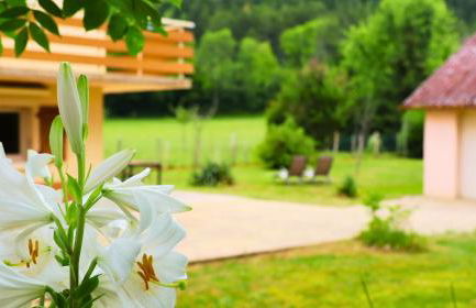 Maison bien être avec sauna - Gîte les 4 saisons - Lac de chalain - Foto 11