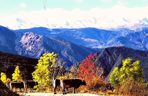 Apartamentsaloriaburg - Foto 40