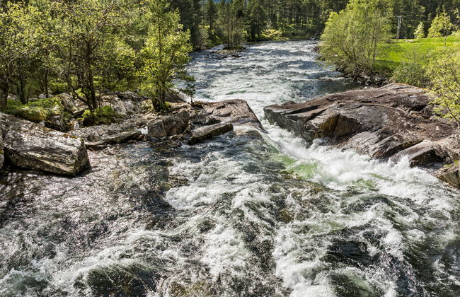 Myravatnet - Foto 32