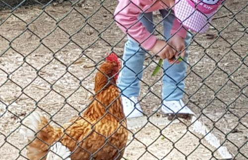 Casa da Ti Bia - Foto 25