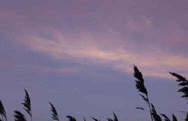 Ferienhaus am Gutspark 3, Klausdorf, ca 250 m bis zur Badestelle - Foto 29