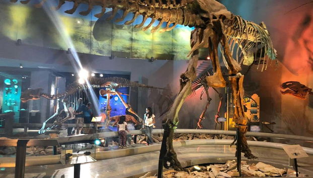 Visite guidée du musée du Désert