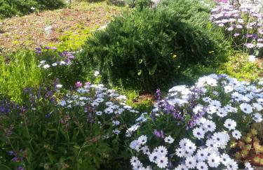 Kuća za odmor Maruška - Foto 19