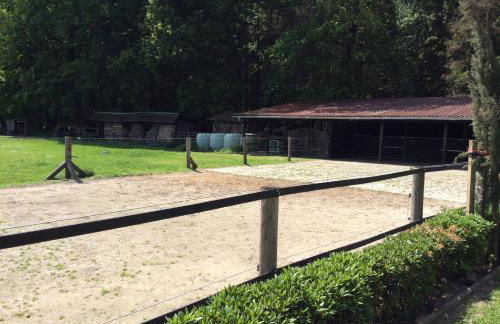 Ferienwohnung am Mühlendamm - Foto 15