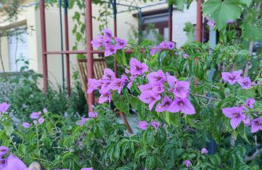 SUMMER TIME - Photo 4