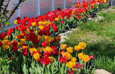 The BrickHouse on Grace - Foto 32