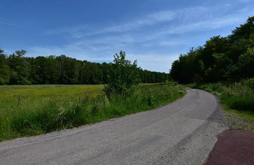 Elegant Appartment in Niderviller Near Forest, France - Foto 70