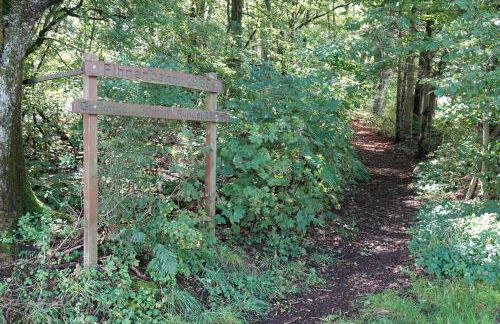 Ferienwohnung im Kannenbäckerland - Foto 36