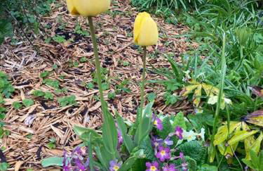 3-Bedroom Eco-house with EV charger. - Foto 14