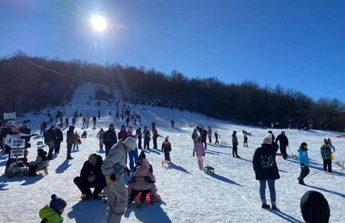 Villa Madison, Spacious Sea View Apartments Near Zadar with heated pool - Photo 9