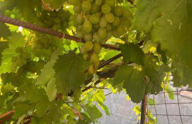 THE SECRET GARDEN - Foto 74