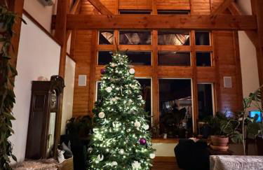 Welcome to Raven Ridge Lodge - where time slows - Photo 13