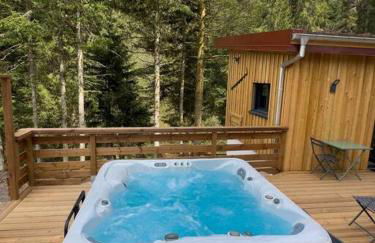 Le Refuge perché du saut de la bourrique, SPA, terrain clôturé, bordure de forêt - Foto 1