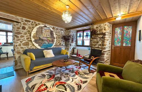 Renovated Old Manor House With Yard - Photo 23