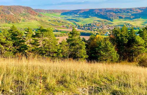 Ferienwohnung im Himmelreich - Foto 14