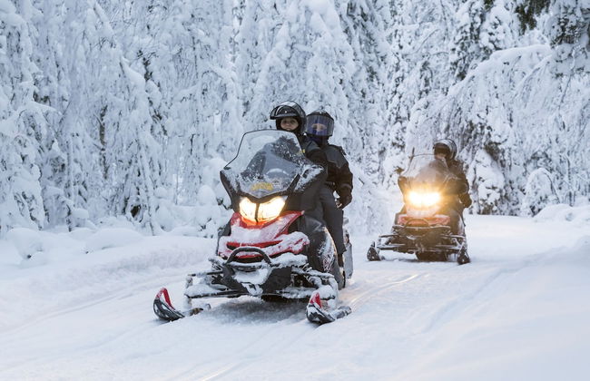 Ranua Resort Arctic Igloos - Foto 34