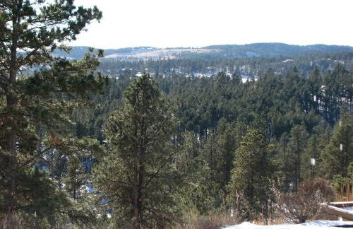 Priceless Black Hills View - Foto 52
