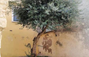 Duplex La Terrasse Jasmin - Photo 15