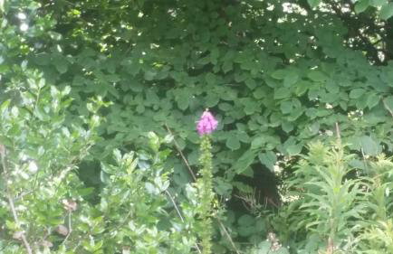 Blair Drummond Holiday Home - Foto 43