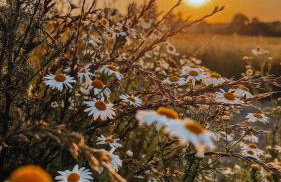 Kraina Poraj - Foto 61