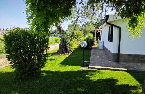 Villa Leone - Photo 22