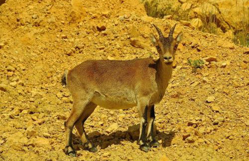 Apartamentos Rurales Casa del Tio Juan - Foto 76