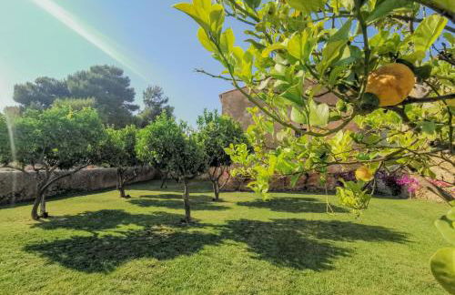 Feudo Nobile - Foto 6