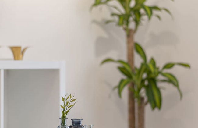 Ifema - Aeropuerto - Foto 24