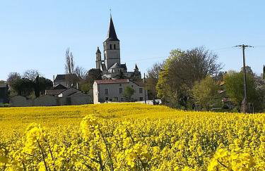 Aux Acacias - Foto 19