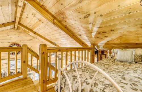 A Bear Pause - Foto 16