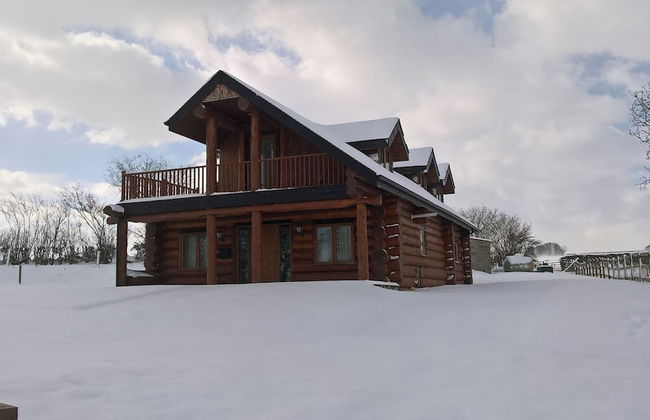 Traditional Scandinavian/north American Log Home - Foto 30