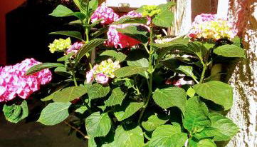 Casa La Quiete - Foto 2