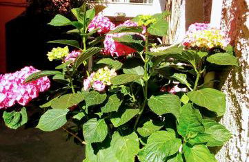 Casa La Quiete - Foto 2