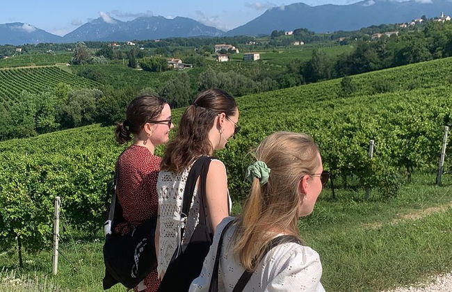 Premium Private Prosecco Hills Tour - 2 Cantine. Tour privato. - Foto 11