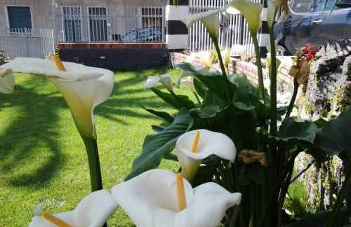 Villa Royal Etna Stars - Foto 33