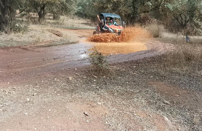 Albufeira Tour fuera de carretera de 3 horas Tour de aventura en buggy - Foto 18