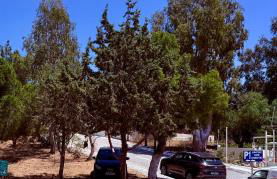 Cósy apartment - Foto 11