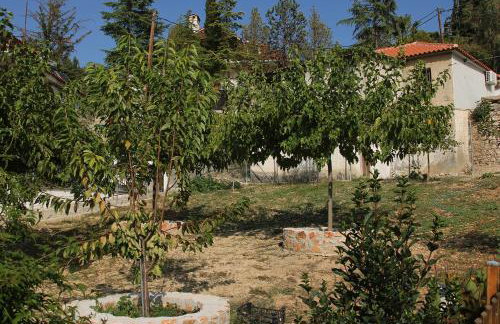 Vagelis Nemea apartments - Foto 41