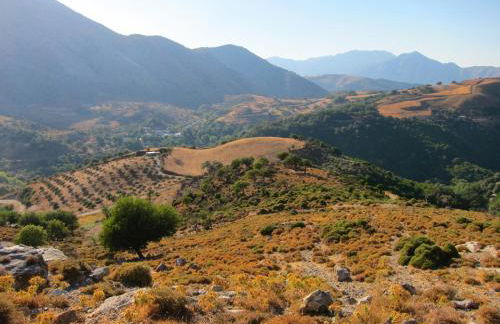 Marika's House - Foto 34